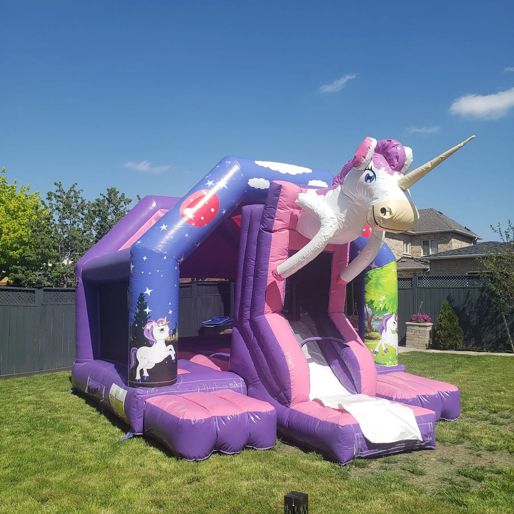 Unicorn Bouncy Castle — view 2