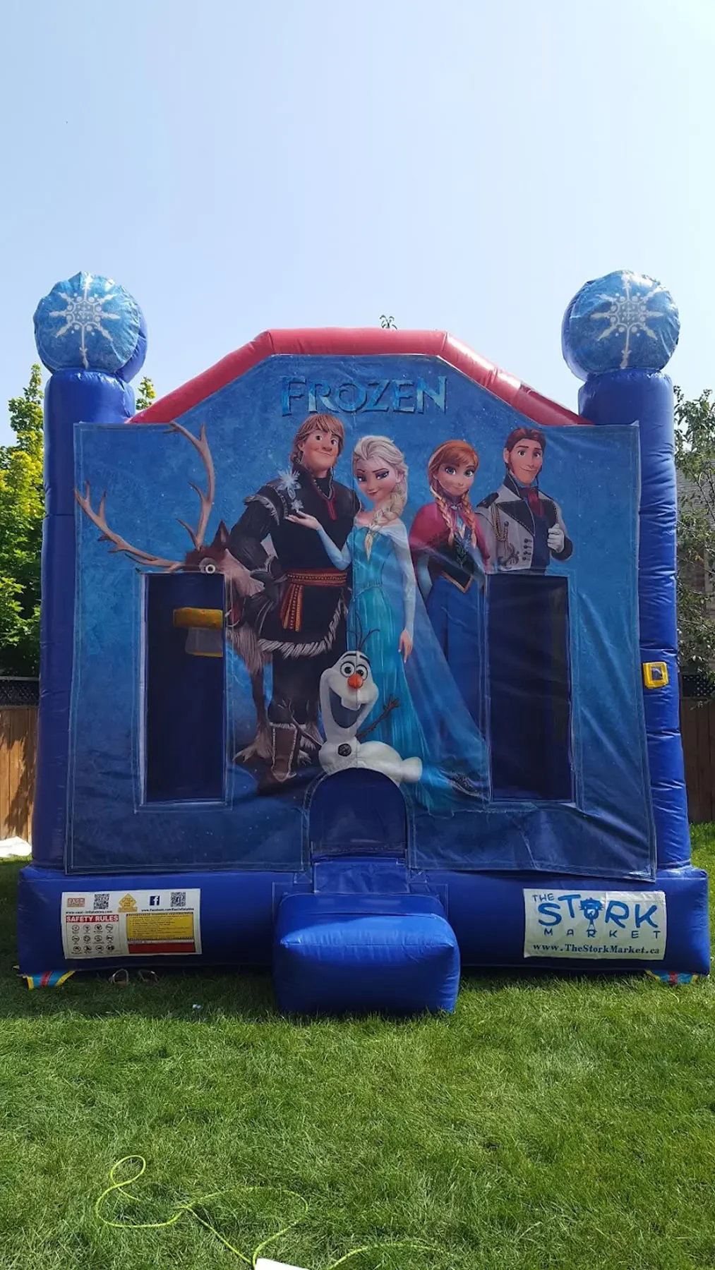 Frozen Medium Size Bouncy Castle — view 4