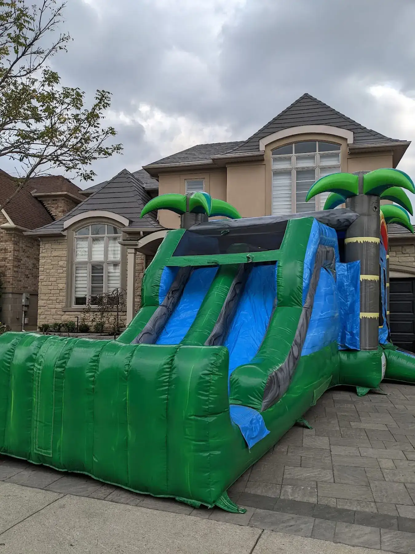 Double Slide Tropical Bouncy Castle — view 6
